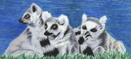 illustration of group of lemurs sunbathing