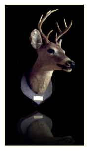 Deer Mount