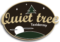 Quiet tree taxidermy logo