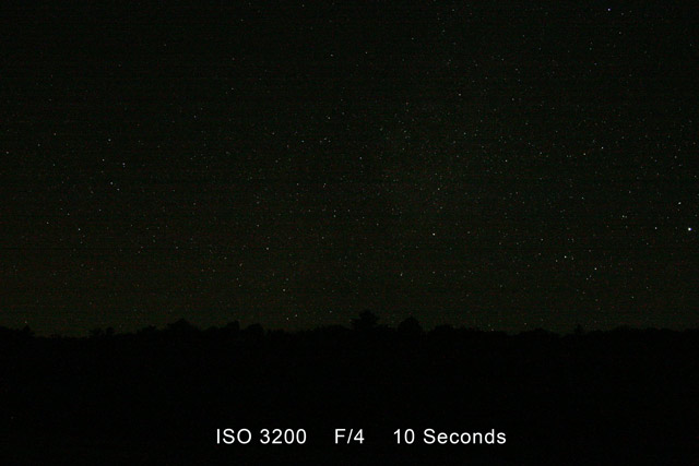 Night photo of a tree line