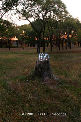 Light painting above a tree stump