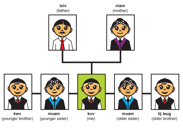 Family tree from a boy's perspective