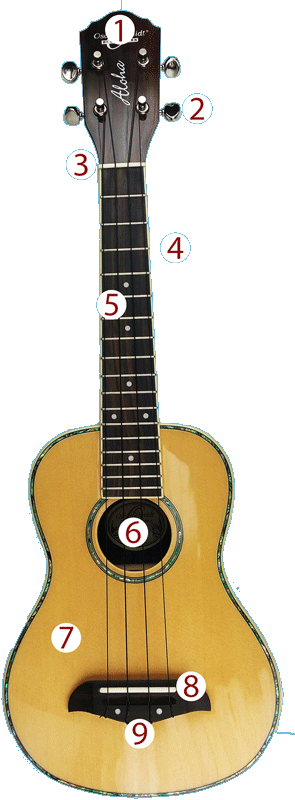 Parts of the ukulele