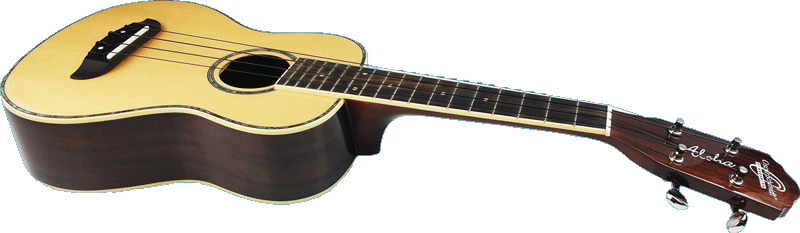 image of a standard ukulele